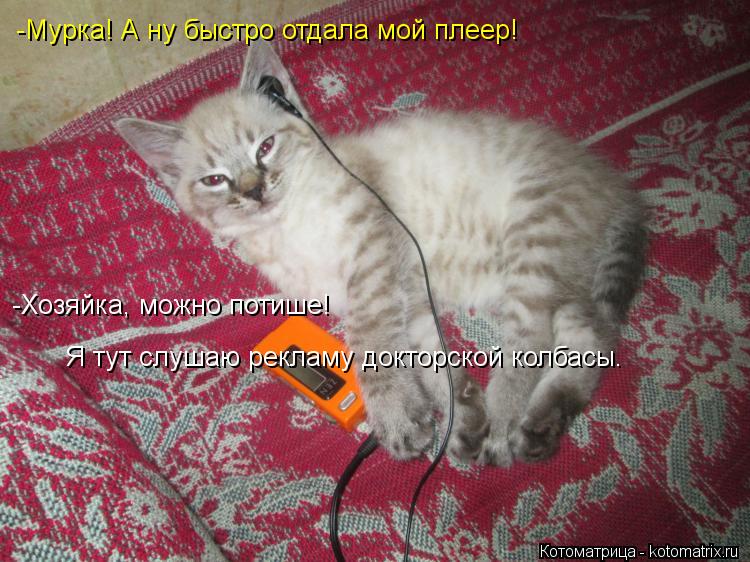 -Мурка! А ну быстро отдала мой плеер! -Хозяйка, можно потише! Я тут слушаю рекламу докторской колбасы... Котоматрица: -Мурка! А ну быстро отдала мой плеер! -Хозяйка, можно потише! Я тут слушаю рекламу докторской колбасы.