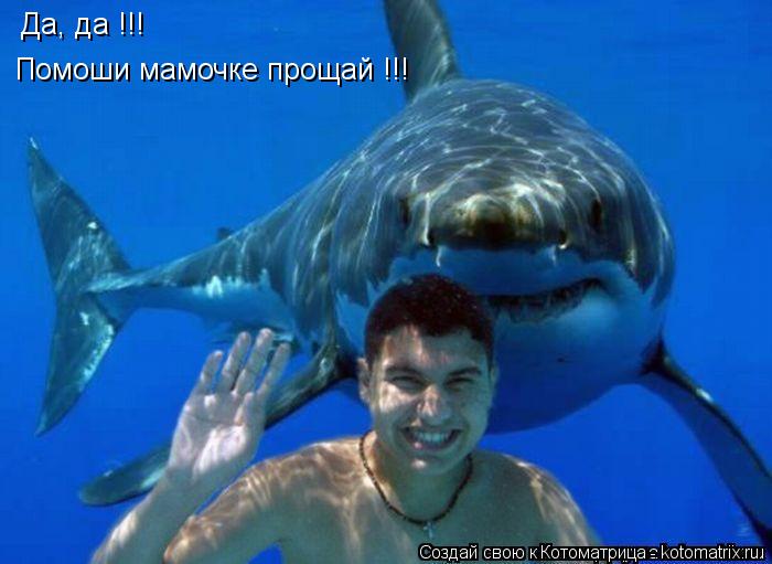 Да, да !!! Помоши мамочке прощай !!!... Котоматрица: Да, да !!! Помоши мамочке прощай !!!