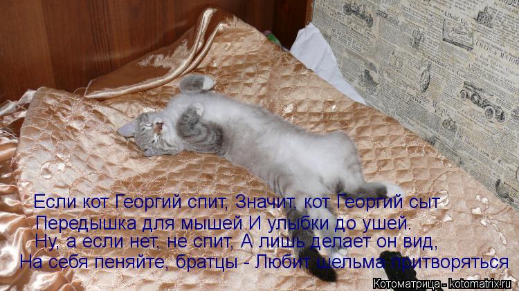 Если кот Василий спит, Значит, кот Василий сыт. Передышка для мышей И улыбки до ушей. Ну, а если нет,... Котоматрица: Если кот Василий спит, Значит, кот Василий сыт. Передышка для мышей И улыбки до ушей. Ну, а если нет, не спит, А лишь делает он вид, На себя пеня