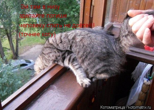 Эй там в низу зделайте потише человеку спать не доёте!!! (точнее коту)... Котоматрица: Эй там в низу зделайте потише человеку спать не доёте!!! (точнее коту)