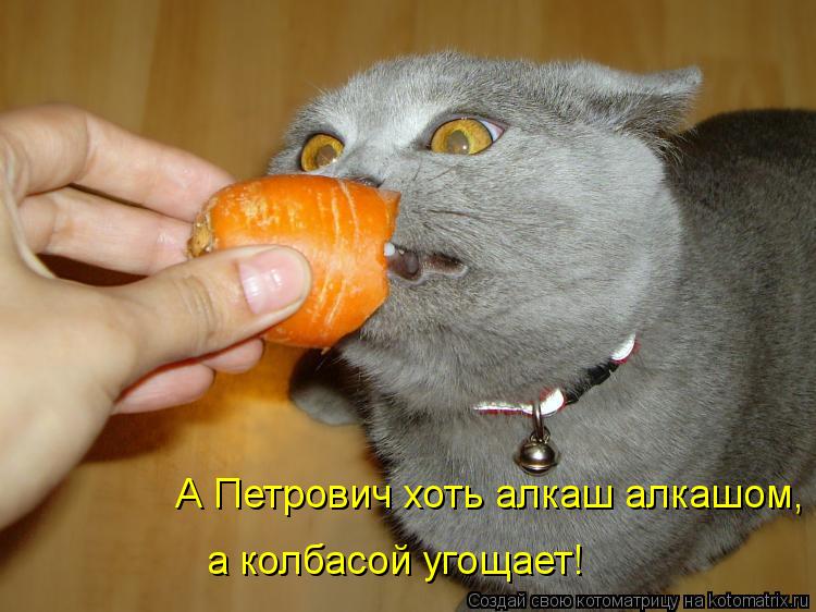 А Петрович хоть алкаш алкашом, а колбасой угощает!... Котоматрица: А Петрович хоть алкаш алкашом, а колбасой угощает!