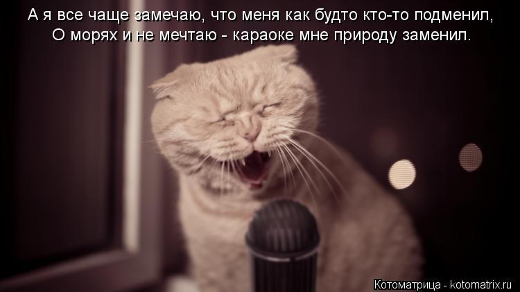 А я все чаще замечаю, что меня как будто кто-то подменил, О морях и не мечтаю - караоке мне природу з... Котоматрица: А я все чаще замечаю, что меня как будто кто-то подменил, О морях и не мечтаю - караоке мне природу заменил.