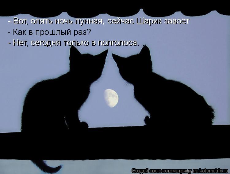 - Вот, опять ночь лунная, сейчас Шарик завоет - Как в прошлый раз? - Нет, сегодня только в полголоса.... Котоматрица: - Вот, опять ночь лунная, сейчас Шарик завоет - Как в прошлый раз? - Нет, сегодня только в полголоса...