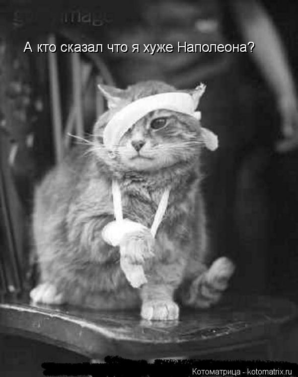 А кто сказал что я хуже Наполеона? А кто сказал что я хуже Наполеона?... Котоматрица: А кто сказал что я хуже Наполеона? А кто сказал что я хуже Наполеона?