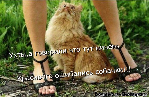 Ухты,а говорили что тут ничего Красивого ошибались собачки!!!... Котоматрица: Ухты,а говорили что тут ничего Красивого ошибались собачки!!!
