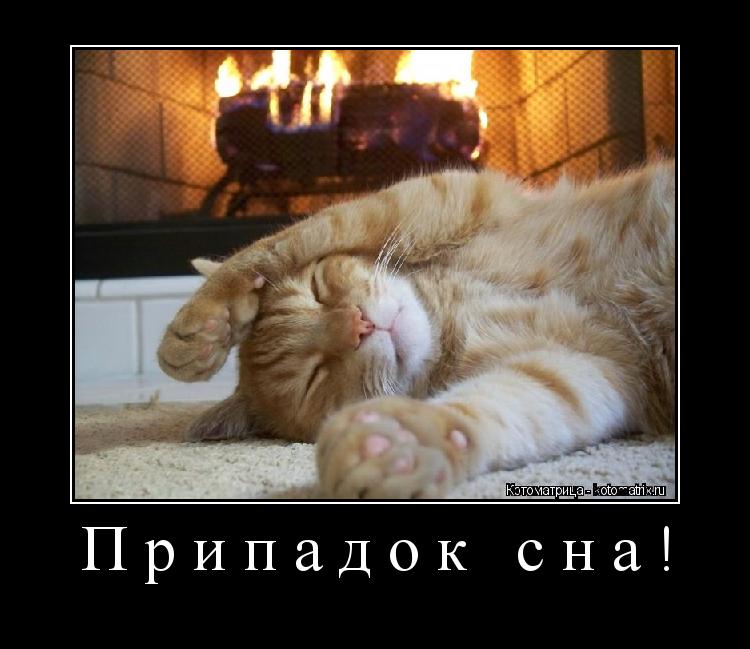Припадок сна! ... Котоматрица: Припадок сна!