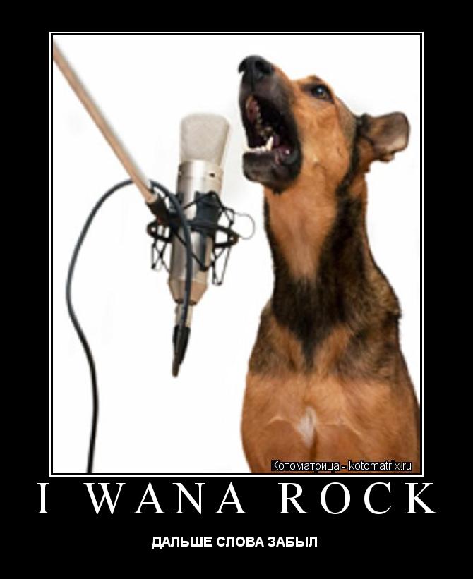 I WANA ROCK ДАЛЬШЕ СЛОВА ЗАБЫЛ ... Котоматрица: I WANA ROCK ДАЛЬШЕ СЛОВА ЗАБЫЛ