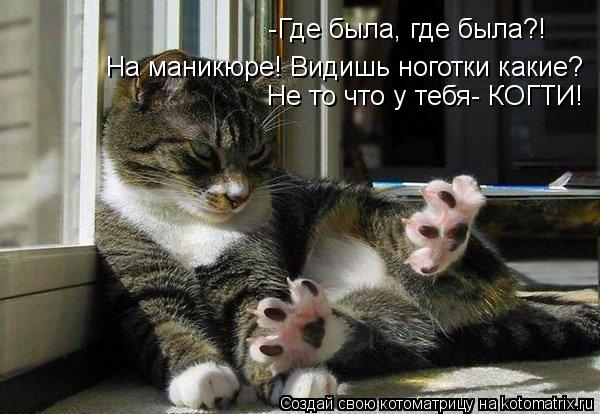 -Где была, где была?! На маникюре! Видишь ноготки какие? Не то что у тебя- КОГТИ!... Котоматрица: -Где была, где была?! На маникюре! Видишь ноготки какие? Не то что у тебя- КОГТИ!