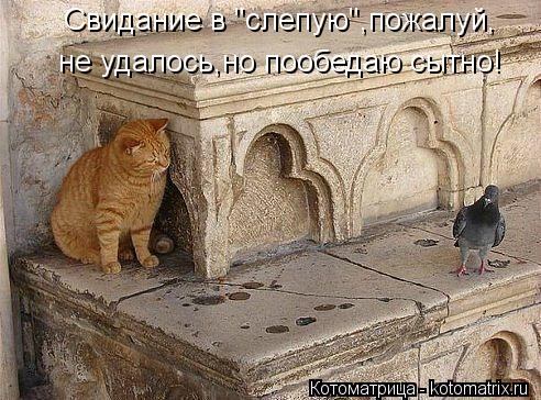 Свидание в "слепую",пожалуй, не удалось,но пообедаю сытно!... Котоматрица: Свидание в "слепую",пожалуй, не удалось,но пообедаю сытно!