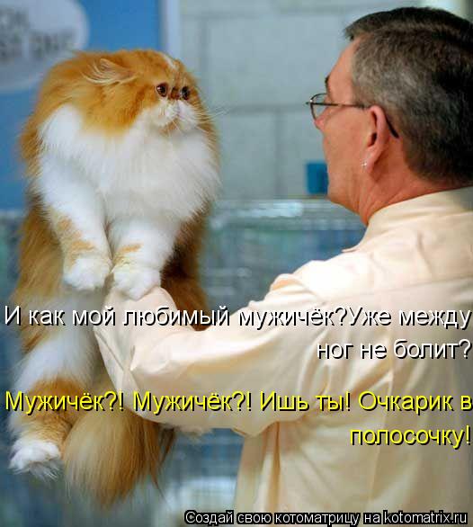 И как мой любимый мужичёк?Уже между ног не болит? Мужичёк?! Мужичёк?! Ишь ты! Очкарик в полосочку!... Котоматрица: И как мой любимый мужичёк?Уже между ног не болит? Мужичёк?! Мужичёк?! Ишь ты! Очкарик в полосочку!
