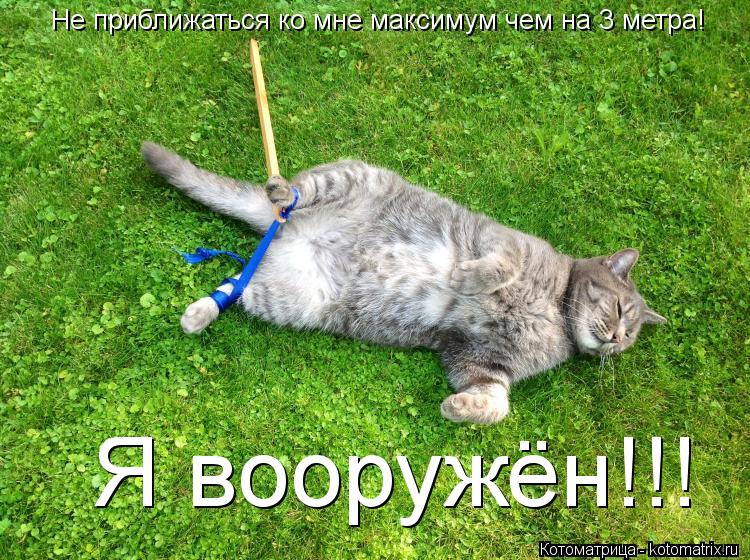 Не приближаться ко мне максимум чем на 3 метра! Я вооружён!!!... Котоматрица: Не приближаться ко мне максимум чем на 3 метра! Я вооружён!!!