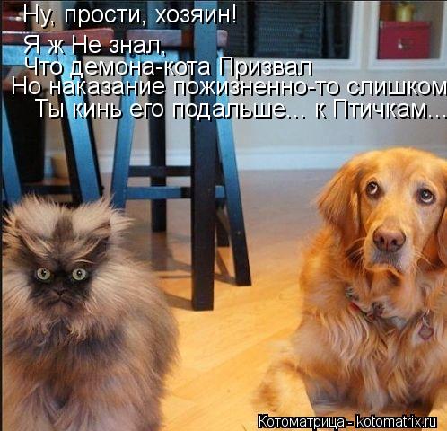 Ну, прости, хозяин! Я ж Не знал, Что демона-кота Призвал Но наказание пожизненно-то слишком Ты кинь е... Котоматрица: Ну, прости, хозяин! Я ж Не знал, Что демона-кота Призвал Но наказание пожизненно-то слишком Ты кинь его подальше... к Птичкам...