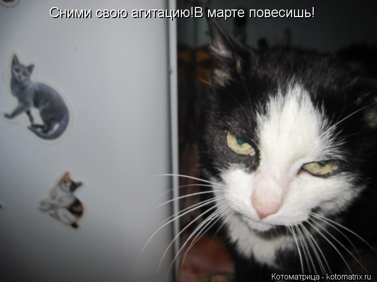 Сними свою агитацию!В марте повесишь!... Котоматрица: Сними свою агитацию!В марте повесишь!