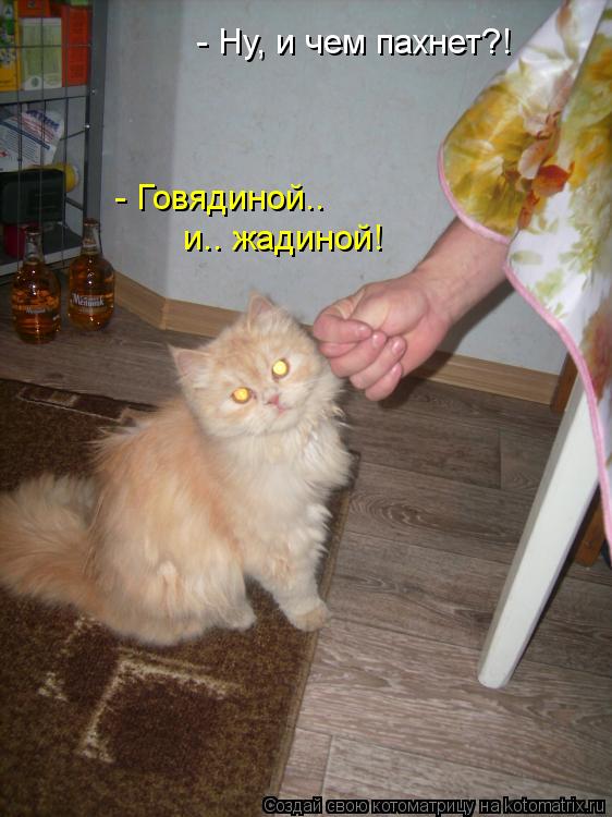 - Ну, и чем пахнет?! - Говядиной.. и.. жадиной!... Котоматрица: - Ну, и чем пахнет?! - Говядиной.. и.. жадиной!