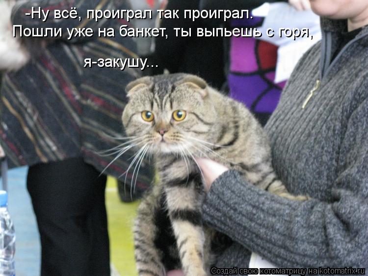 -Ну всё, проиграл так проиграл. Пошли уже на банкет, ты выпьешь с горя, я-закушу...... Котоматрица: -Ну всё, проиграл так проиграл. Пошли уже на банкет, ты выпьешь с горя, я-закушу...