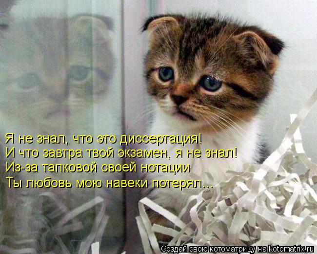 Я не знал, что это диссертация! И что завтра твой экзамен, я не знал! Из-за тапковой своей нотации Ты... Котоматрица: Я не знал, что это диссертация! И что завтра твой экзамен, я не знал! Из-за тапковой своей нотации Ты любовь мою навеки потерял…