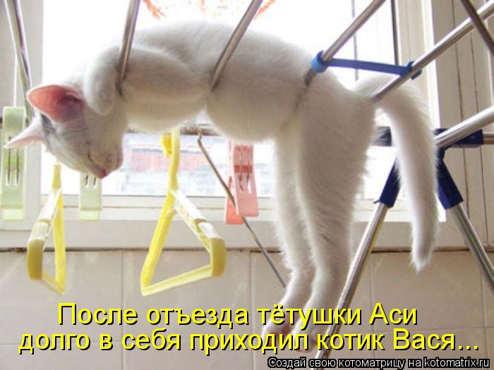 долго в себя приходил котик Вася... После отъезда тётушки Аси... Котоматрица: долго в себя приходил котик Вася... После отъезда тётушки Аси