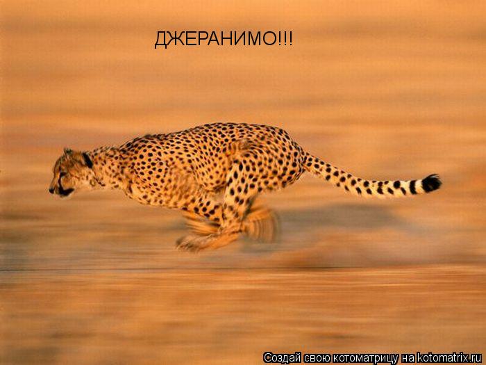 ДЖЕРАНИМО!!!... Котоматрица: ДЖЕРАНИМО!!!