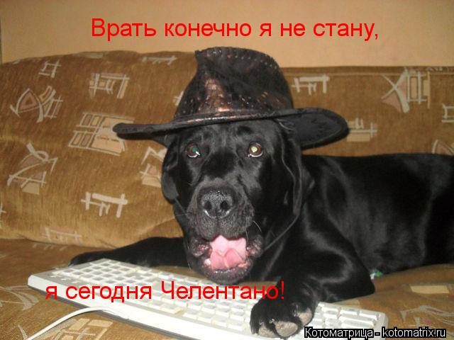 Врать конечно я не стану, я сегодня Челентано!... Котоматрица: Врать конечно я не стану, я сегодня Челентано!