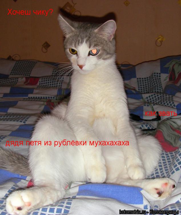 Хочеш чику? как звать дядя петя из рублёвки мухахахаха... Котоматрица: Хочеш чику? как звать дядя петя из рублёвки мухахахаха
