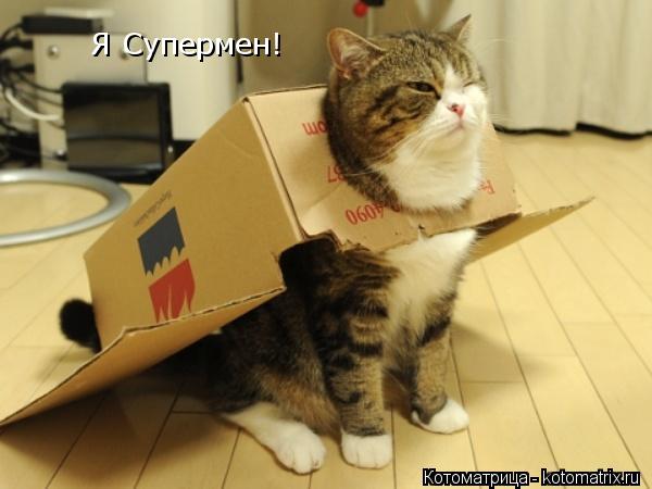 Я Супермен!... Котоматрица: Я Супермен!
