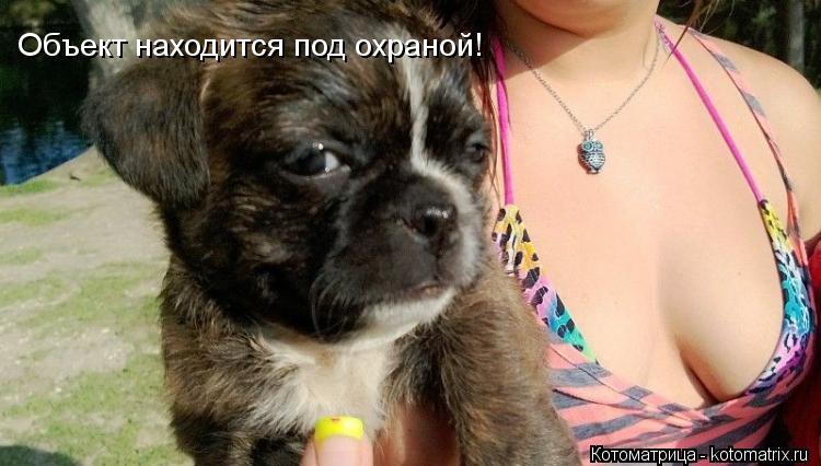 Объект находится под охраной!... Котоматрица: Объект находится под охраной!