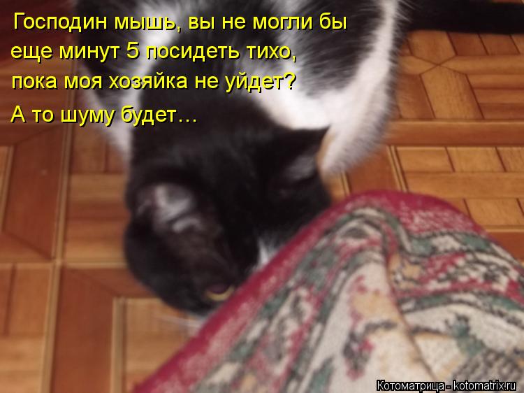Господин мышь, вы не могли бы еще минут 5 посидеть тихо, пока моя хозяйка не уйдет? А то шуму будет... Котоматрица: Господин мышь, вы не могли бы еще минут 5 посидеть тихо, пока моя хозяйка не уйдет? А то шуму будет…