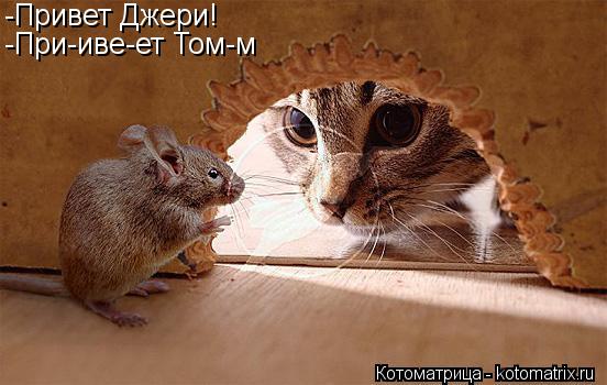 -Привет Джери! -При-иве-ет Том-м... Котоматрица: -Привет Джери! -При-иве-ет Том-м