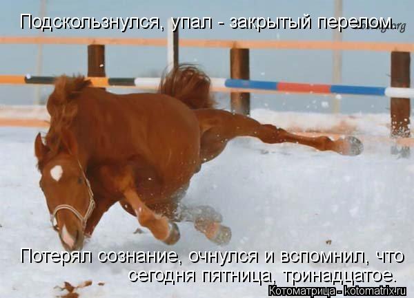 Подскользнулся, упал - закрытый перелом. Потерял сознание, очнулся и вспомнил, что сегодня пятница, ... Котоматрица: Подскользнулся, упал - закрытый перелом. Потерял сознание, очнулся и вспомнил, что сегодня пятница, тринадцатое.