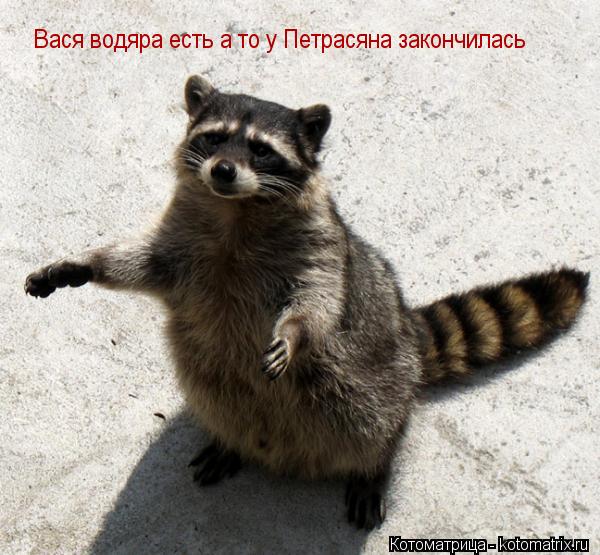 Вася водяра есть а то у Петрасяна закончилась... Котоматрица: Вася водяра есть а то у Петрасяна закончилась