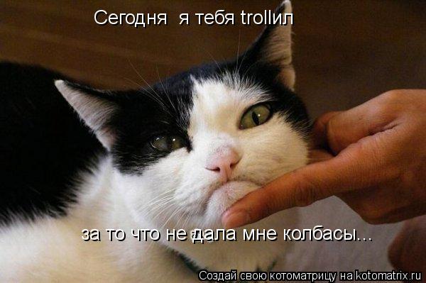 Сегодня я тебя trollил за то что не дала мне колбасы...... Котоматрица: Сегодня я тебя trollил за то что не дала мне колбасы...