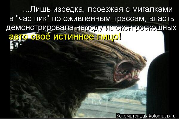 ...Лишь изредка, проезжая с мигалками в "час пик" по оживлённым трассам, власть демонстрировала народ... Котоматрица: ...Лишь изредка, проезжая с мигалками в "час пик" по оживлённым трассам, власть демонстрировала народу из окон роскошных авто своё истинное л