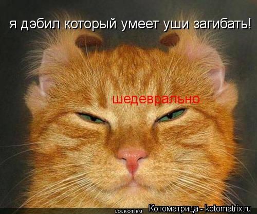 я дэбил который умеет уши загибать! шедеврально... Котоматрица: я дэбил который умеет уши загибать! шедеврально