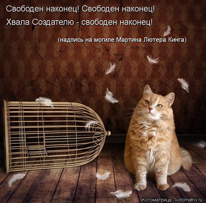 Свободен наконец! Свободен наконец! Хвала Создателю - свободен наконец! (надпись на могиле Мартина ... Котоматрица: Свободен наконец! Свободен наконец! Хвала Создателю - свободен наконец! (надпись на могиле Мартина Лютера Кинга)