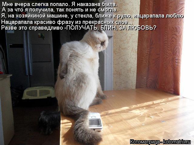 Мне вчера слегка попало. Я наказана была. А за что я получила, так понять и не смогла. Нацарапал... Котоматрица: Мне вчера слегка попало. Я наказана была. А за что я получила, так понять и не смогла. Нацарапала красиво фразу из прекрасных слов... Ра