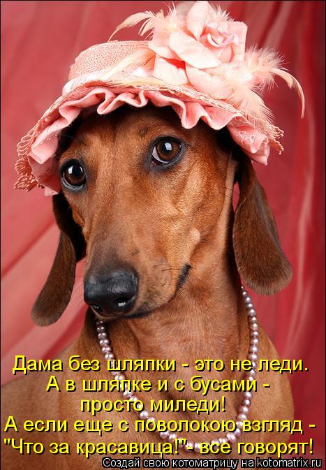 Дама без шляпки - это не леди. А в шляпке и с бусами - просто миледи! А если еще с поволокою взгляд ... Котоматрица: Дама без шляпки - это не леди. А в шляпке и с бусами - просто миледи! А если еще с поволокою взгляд - "Что за красавица!"- все говорят!