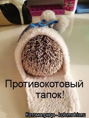 Противокотовый тапок!... Котоматрица: Противокотовый тапок!