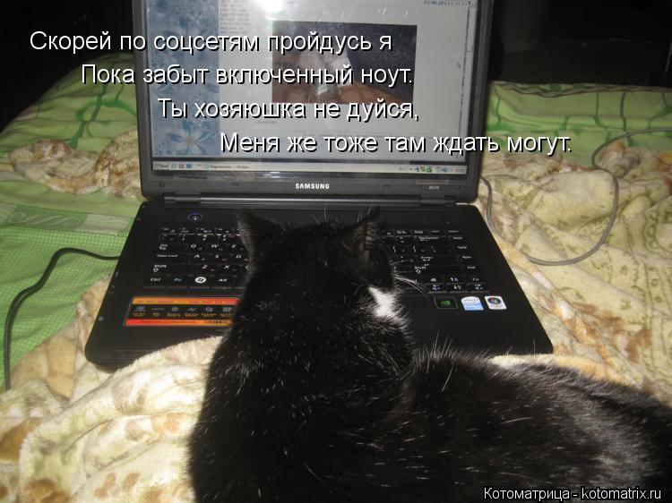 Скорей по соцсетям пройдусь я Пока забыт включенный ноут. Ты хозяюшка не дуйся, Меня же тоже там ждат... Котоматрица: Скорей по соцсетям пройдусь я Пока забыт включенный ноут. Ты хозяюшка не дуйся, Меня же тоже там ждать могут.