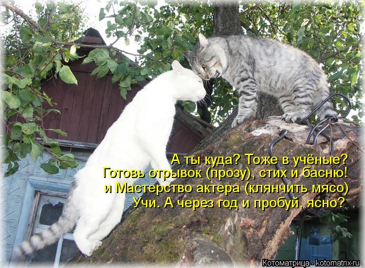 Готовь отрывок (прозу), стих и басню! и Мастерство актера (клянчить мясо) Учи. А через год и пробуй, ... Котоматрица: Готовь отрывок (прозу), стих и басню! и Мастерство актера (клянчить мясо) Учи. А через год и пробуй, ясно? А ты куда? Тоже в учёные?