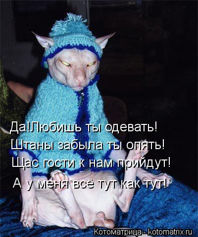 Да!Любишь ты одевать! Штаны забыла ты опять! Щас гости к нам прийдут! А у меня всё тут как тут!... Котоматрица: Да!Любишь ты одевать! Штаны забыла ты опять! Щас гости к нам прийдут! А у меня всё тут как тут!