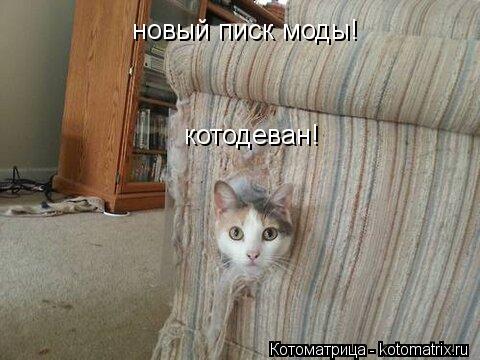 новый писк моды! котодеван!... Котоматрица: новый писк моды! котодеван!