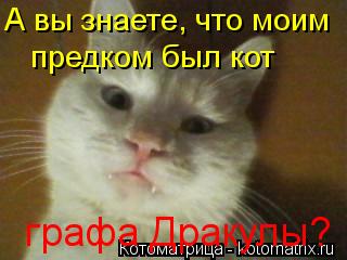 А вы знаете, что моим предком был кот графа Дракулы?... Котоматрица: А вы знаете, что моим предком был кот графа Дракулы?