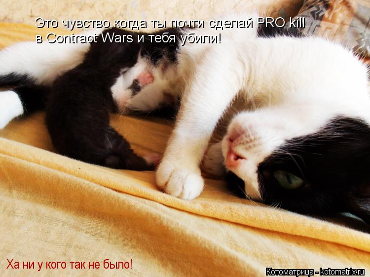 Это чувство,когда ты почти сделай PRO kill в Contract Wars и тебя убили! Ха ни у кого так не было!... Котоматрица: Это чувство,когда ты почти сделай PRO kill в Contract Wars и тебя убили! Ха ни у кого так не было!