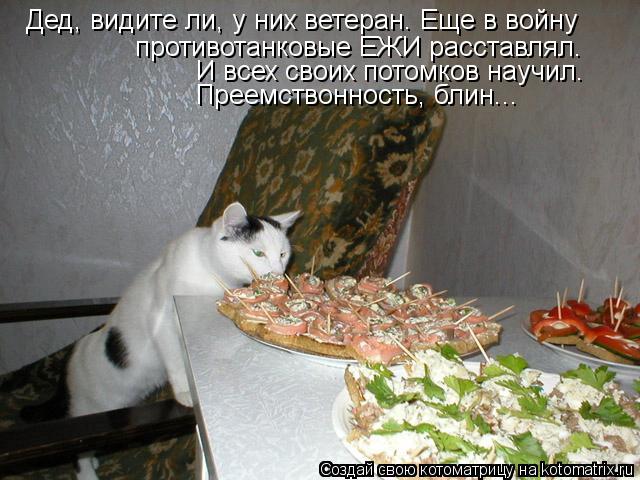 Дед, видите ли, у них ветеран. Еще в войну противотанковые ЕЖИ расставлял. И всех своих потомков нау... Котоматрица: Дед, видите ли, у них ветеран. Еще в войну противотанковые ЕЖИ расставлял. И всех своих потомков научил. Преемствонность, блин...