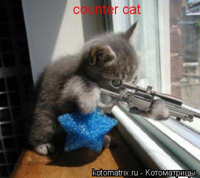 counter cat... Котоматрица: counter cat