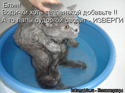 Блин! Водички хоть тёпленькой добавьте !! А то лапы судоргой сводит - ИЗВЕРГИ !... Котоматрица: Блин! Водички хоть тёпленькой добавьте !! А то лапы судоргой сводит - ИЗВЕРГИ !