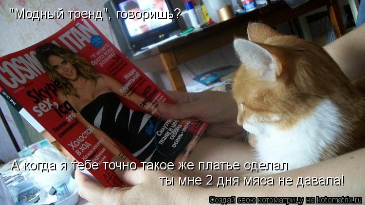 "Модный тренд", говоришь? А когда я тебе точно такое же платье сделал ты мне 2 дня мяса не давала!... Котоматрица: "Модный тренд", говоришь? А когда я тебе точно такое же платье сделал ты мне 2 дня мяса не давала!