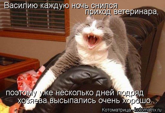Василию каждую ночь снился приход ветеринара, поэтому уже несколько дней подряд хозяева высыпались о... Котоматрица: Василию каждую ночь снился приход ветеринара, поэтому уже несколько дней подряд хозяева высыпались очень хорошо...