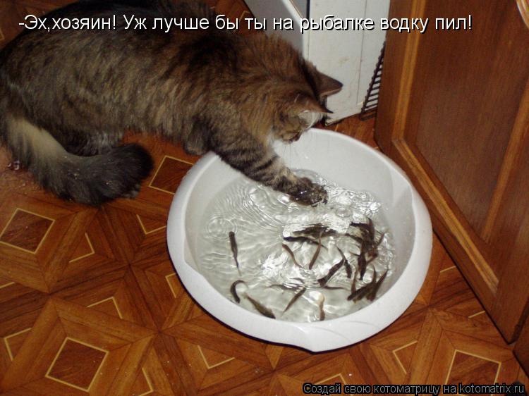 -Эх,хозяин! Уж лучше бы ты на рыбалке водку пил!... Котоматрица: -Эх,хозяин! Уж лучше бы ты на рыбалке водку пил!