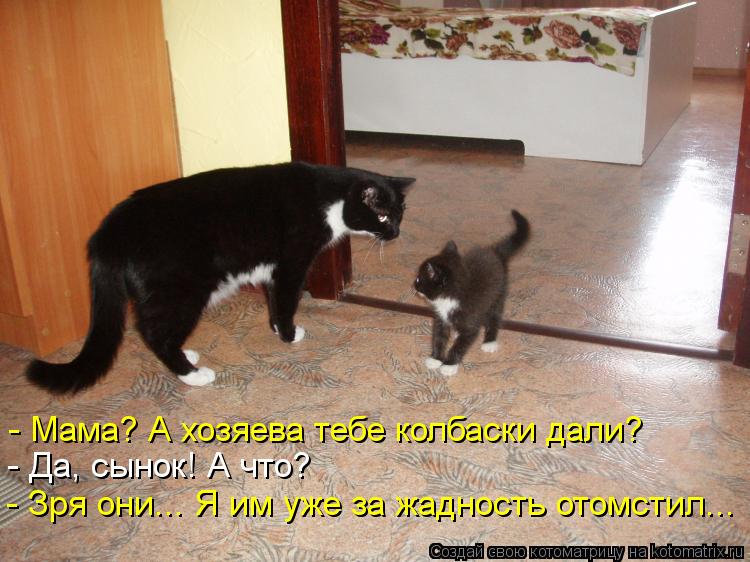 - Мама? А хозяева тебе колбаски дали? - Да, сынок! А что? - Зря они... Я им уже за жадность отомстил.... Котоматрица: - Мама? А хозяева тебе колбаски дали? - Да, сынок! А что? - Зря они... Я им уже за жадность отомстил...